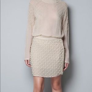 Zara Pear Skirt Small New